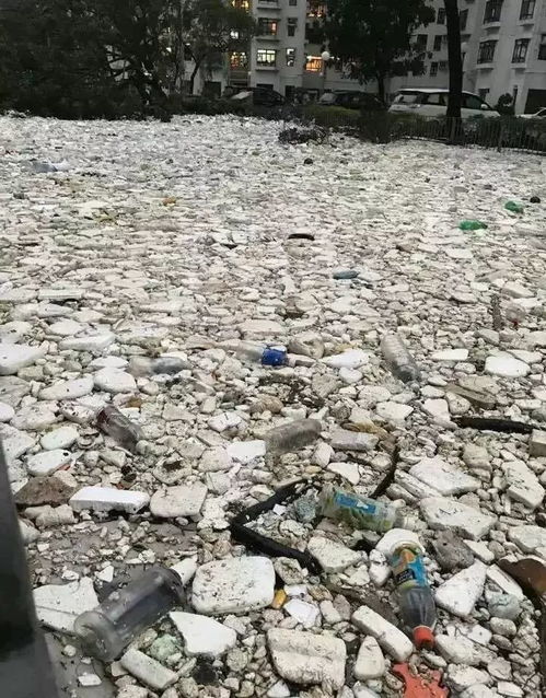 日本多地水体污染严重，一场亟待解决的环保危机