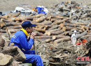 日本多地水体污染严重，一场亟待解决的环保危机