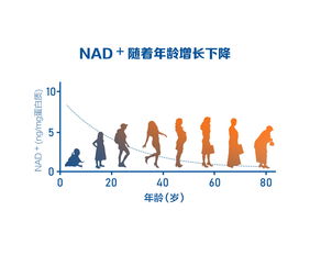 官方全面分析不想生、不敢生原因，透视现代生育困境