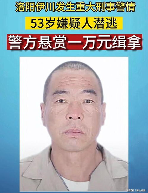 河南发生刑案致2死1伤 嫌犯自杀身亡，一场悲剧的深思