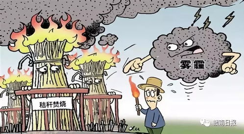 媒体视角下的反思，一刀切禁烧秸秆——是环保之需还是农民之困？