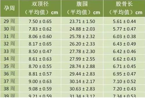胎宝宝体重的增长与管理，全面指南