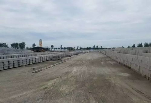 守护每一寸土地，不能让界碑移动哪怕一毫米