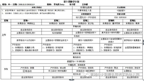 幼儿园中班班级计划