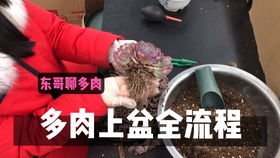 一盆臭肉为何能熏倒多名官员