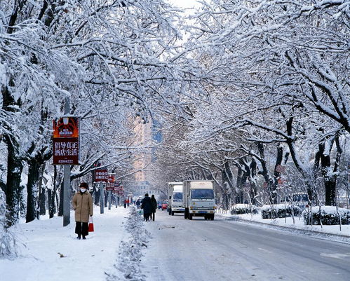 北京真的下雪了，一场冬日的浪漫邂逅