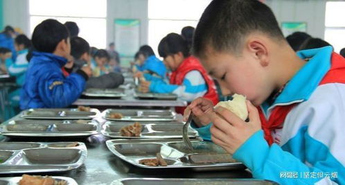 带饭的学生不能进食堂？教育局回应