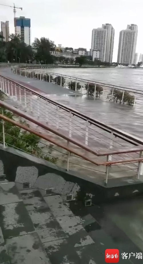 多地异常增水海水倒灌，应急响应迅速启动