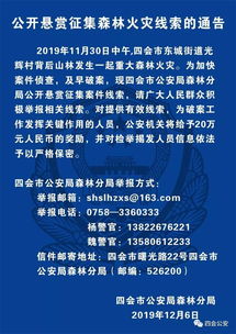 法院重拳出击！悬赏通告发布，最高奖励990万，征集重大案件线索