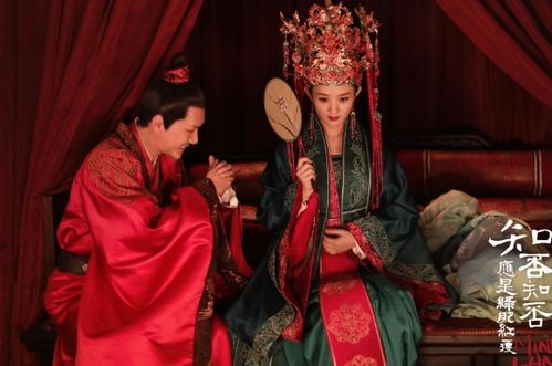 黄圣依为什么不和杨子离婚，深度剖析背后的多维因素