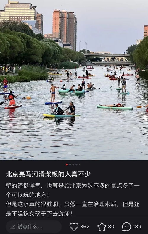 浙江7匹马出逃到上海Citywalk，一场意外的城市探险与深刻反思