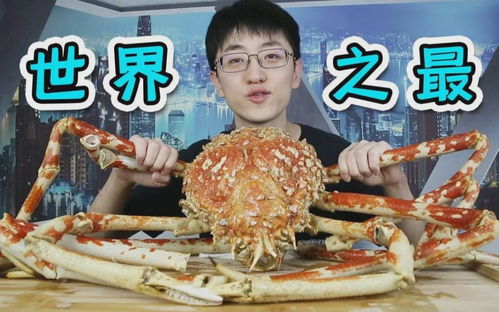 贾冰凭一己之力让旅综变成了吃播，美食与旅行的奇妙碰撞