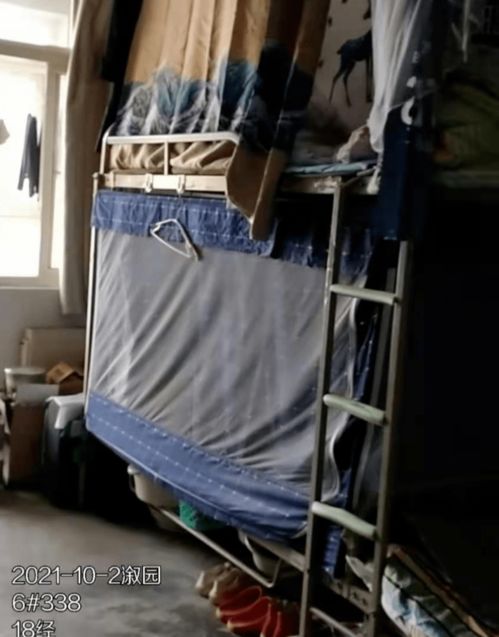 英国学生宿舍悲剧，新生儿被锁行李箱致死，社会反思与警示