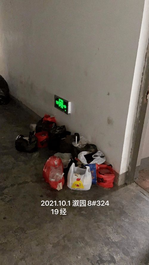 英国学生宿舍悲剧，新生儿被锁行李箱致死，社会反思与警示