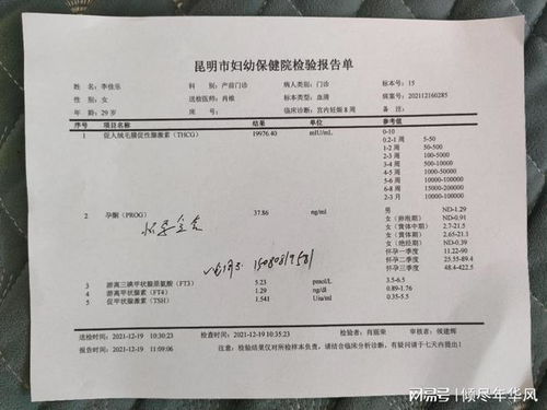 怀孕几天能测出来？全面解析早期妊娠检测