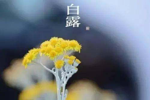 处暑节气与育儿知识，如何在初秋季节守护宝宝健康