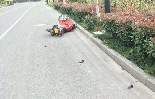 沈阳一汽车冲入早市撞伤13人，事故原因与后续处理