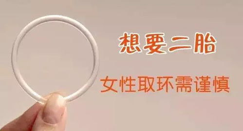 怀二胎注意事项，全面指南，助您迎接新生命的到来