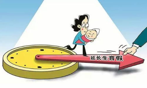晚育产假规定2013解读与建议