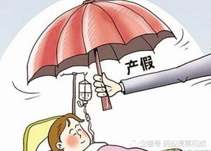 晚育产假规定2013解读与建议