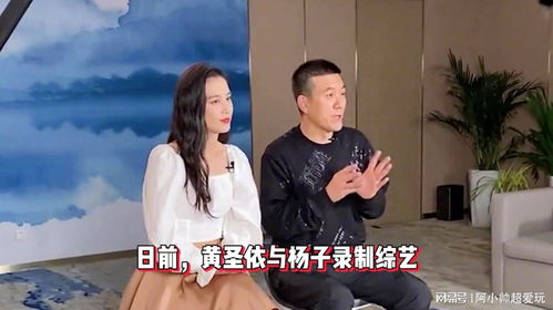 杨子说后悔参加再见爱人，一场情感真人秀的反思与启示