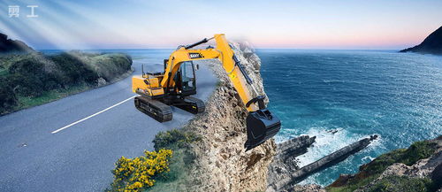 吉林挖机师傅偶遇老虎巡山，人与自然的奇妙邂逅