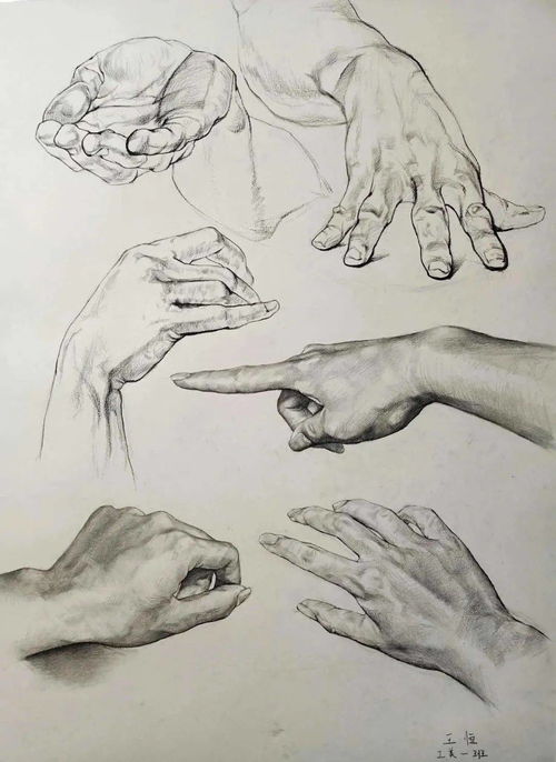 结构素描作品在儿童美术教育中的应用与价值