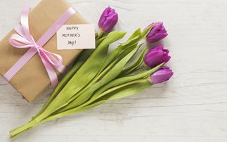 母亲节温馨祝福短信精选