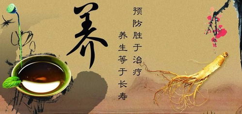 滋养身心的秋冬养生佳品