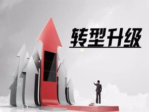 双轨停拍，影视行业的挑战与转型之路