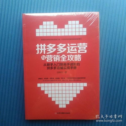 从新手到高手的完美指南