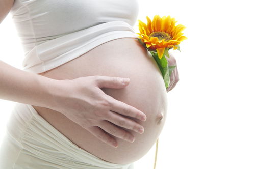 怀孕17周肚子有多大？一文让你了解孕期的变化