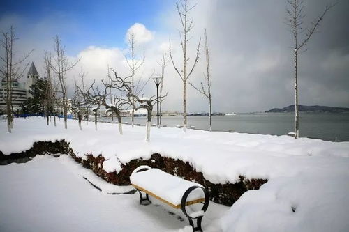 今年冬天会是暖冬吗？一探究竟