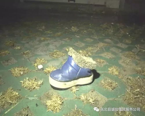 6岁男孩掉下40米高悬崖，奇迹生还背后的坚韧与希望