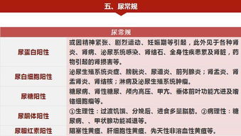 入职体检项目有哪些？全面了解，轻松应对