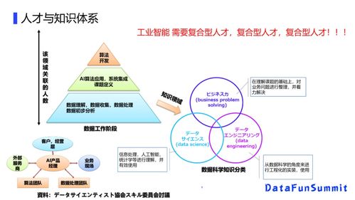 科学解析与实际应用