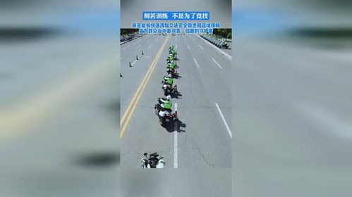 安全与信任的守护者