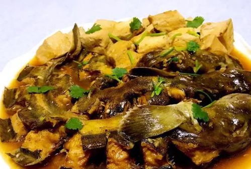 鲶鱼炖豆腐——东北大地上的一道家常美味