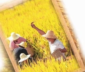 开启奇妙的生命之旅