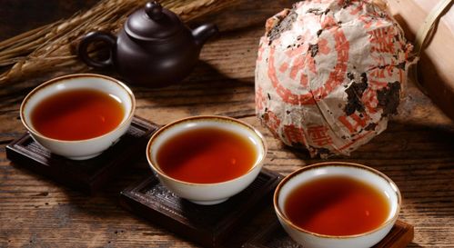 探索血燕的奥秘，从选购到烹饪的全方位指南