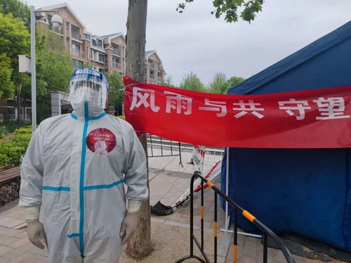 七台河疫情全解析，守护家园，共克时艰