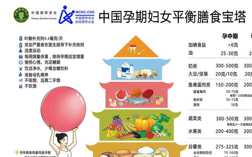 营养全面的孕期饮食指南