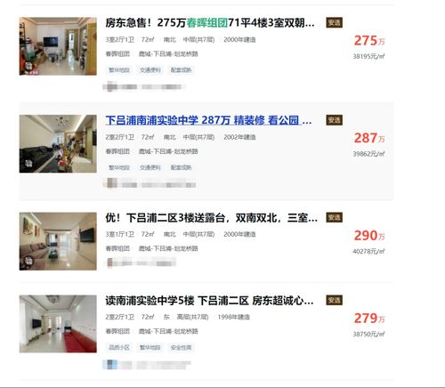 六月结束后的思考与展望