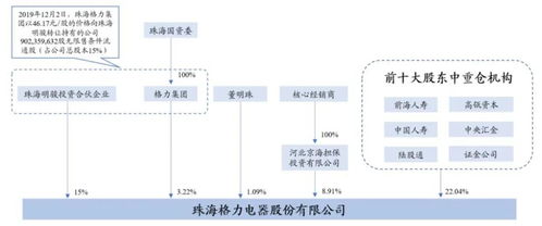 深入剖析其品质与价值