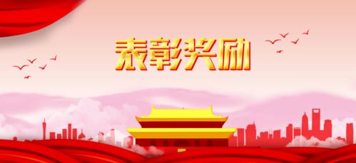 河南赵一晨——一个充满故事的普通人的非凡历程
