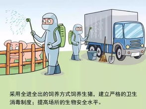 合法、安全且有趣的途径