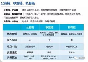 深入了解大班观察记录，方法、意义与实践应用