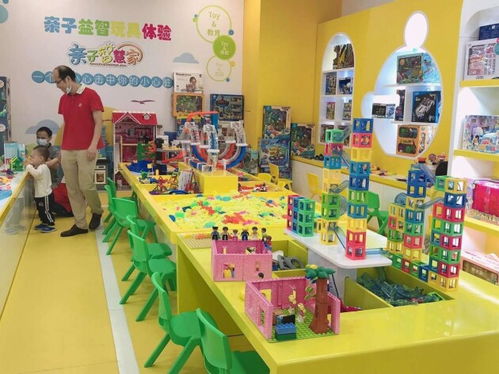 益智玩具加盟店，为孩子打开智慧之门的宝藏店铺