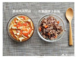 养生壶食谱，轻松制作美味又健康的家常料理