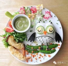 养生壶食谱，轻松制作美味又健康的家常料理